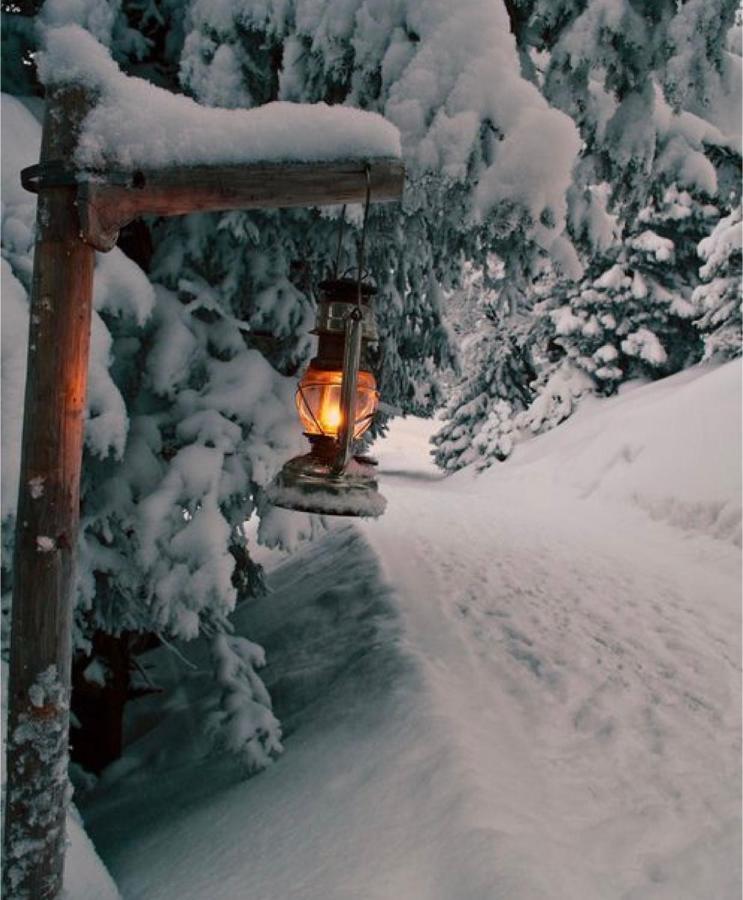 Chalet Blanc "La Mansarda" Courmayeur Exterior foto